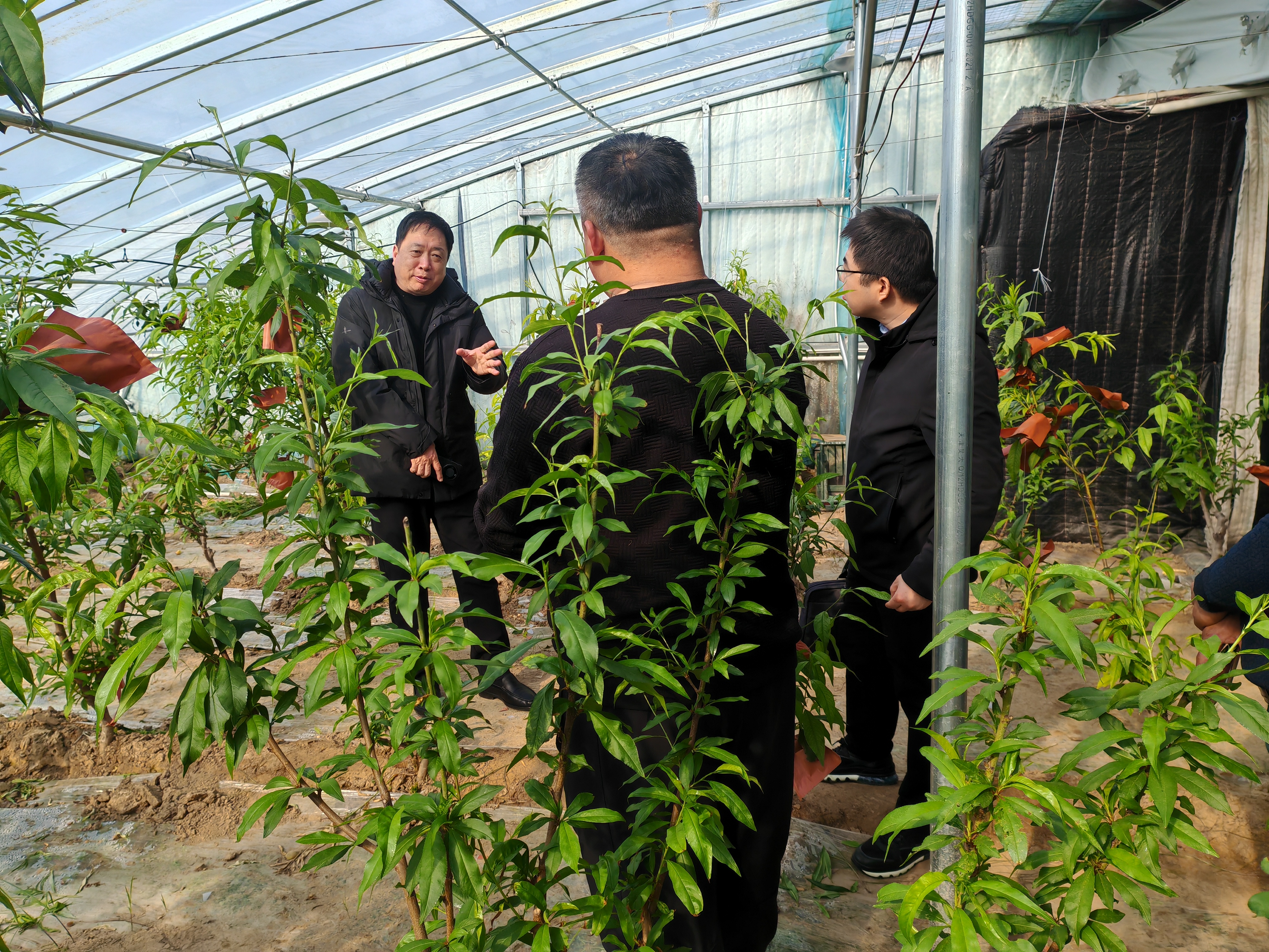 微信圖片_20240305081527.jpg 微信圖片_20240305081527.jpg